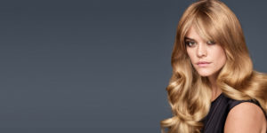 Blonde Redken Model Products page header